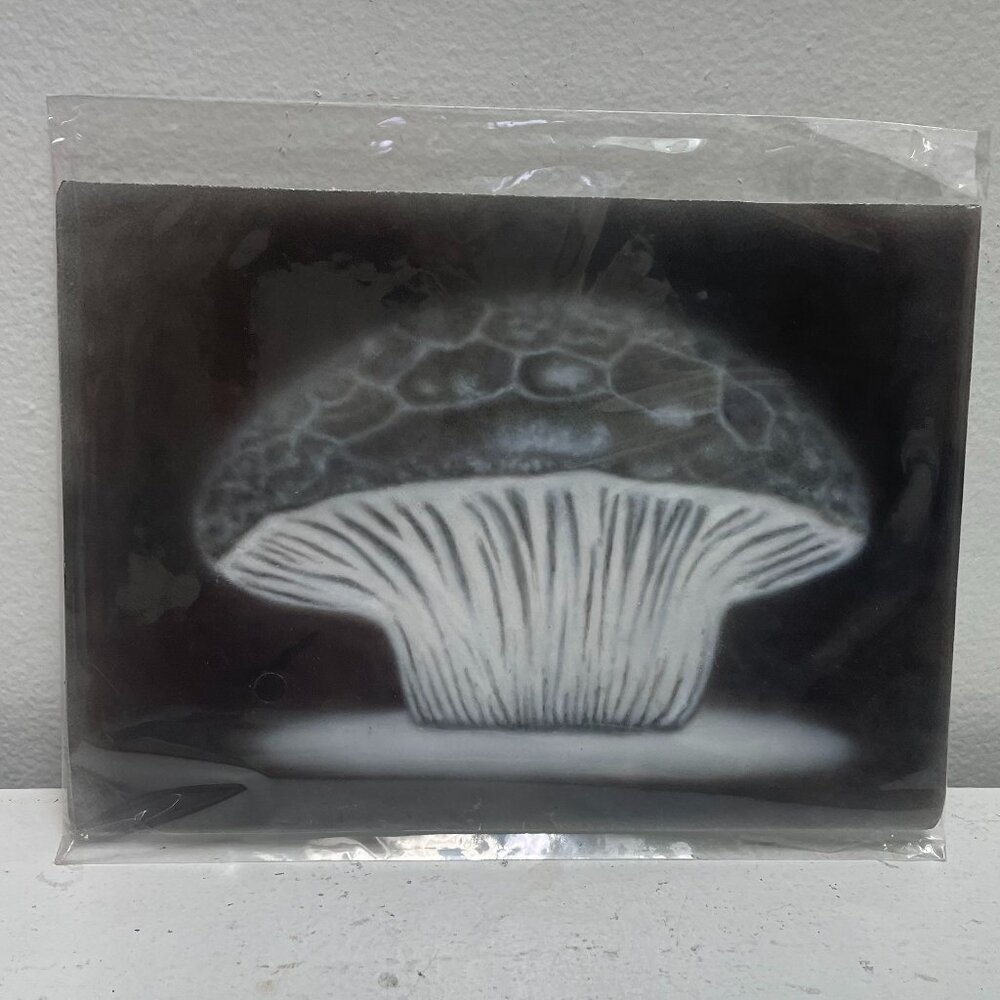 handmade black and white mushroom airbrush artwork